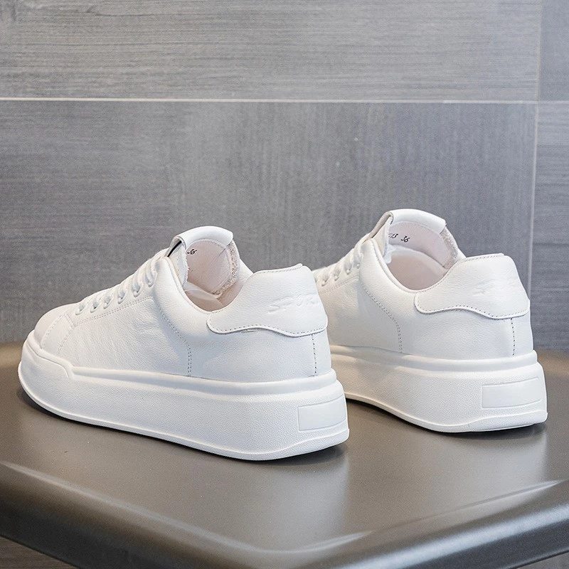product-800-800